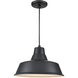 R Series 1 Light 14 inch Satin Black Indoor Pendant Ceiling Light